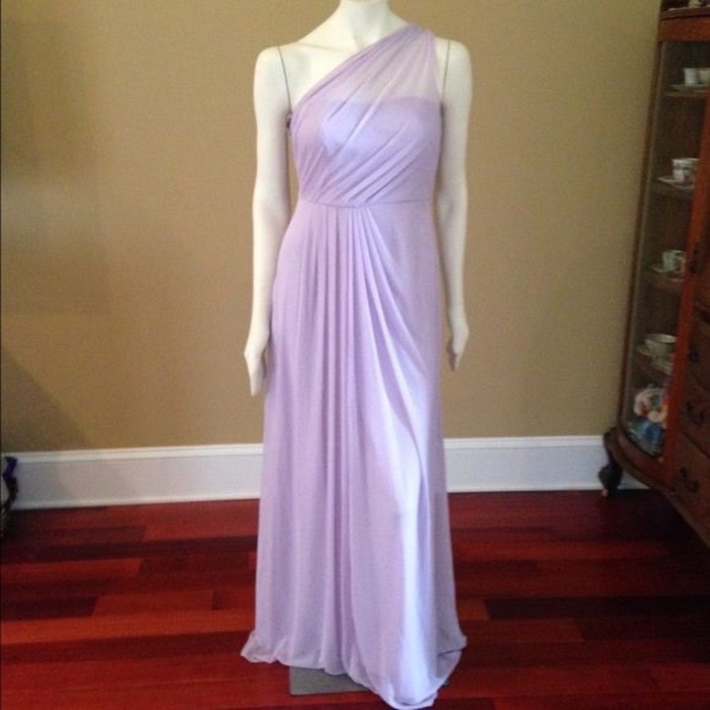 David’s Bridal Dress in Iris